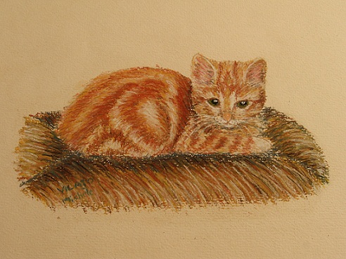 chaton roux-pastel-papier-(18,5x12,5)
