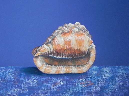 Coquillage-pastel-papel-(31x23)