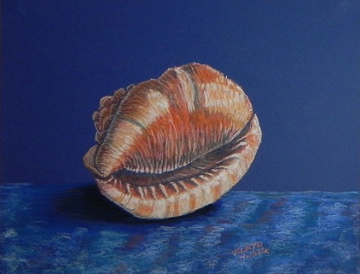 Coquillage-pastel-papel-(31x24)