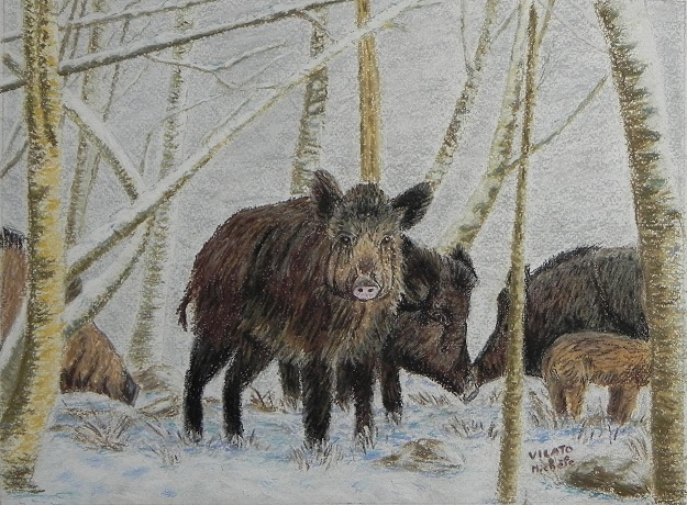 Sangliers-dans-la-neige-pastel-papier-(32x24)
